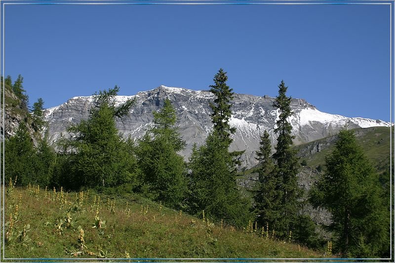 20050817_060